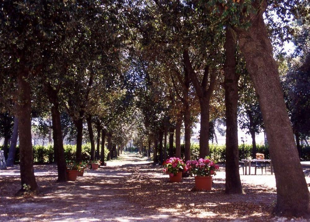 Razza Del Casalone Guest House Grosseto Eksteriør bilde